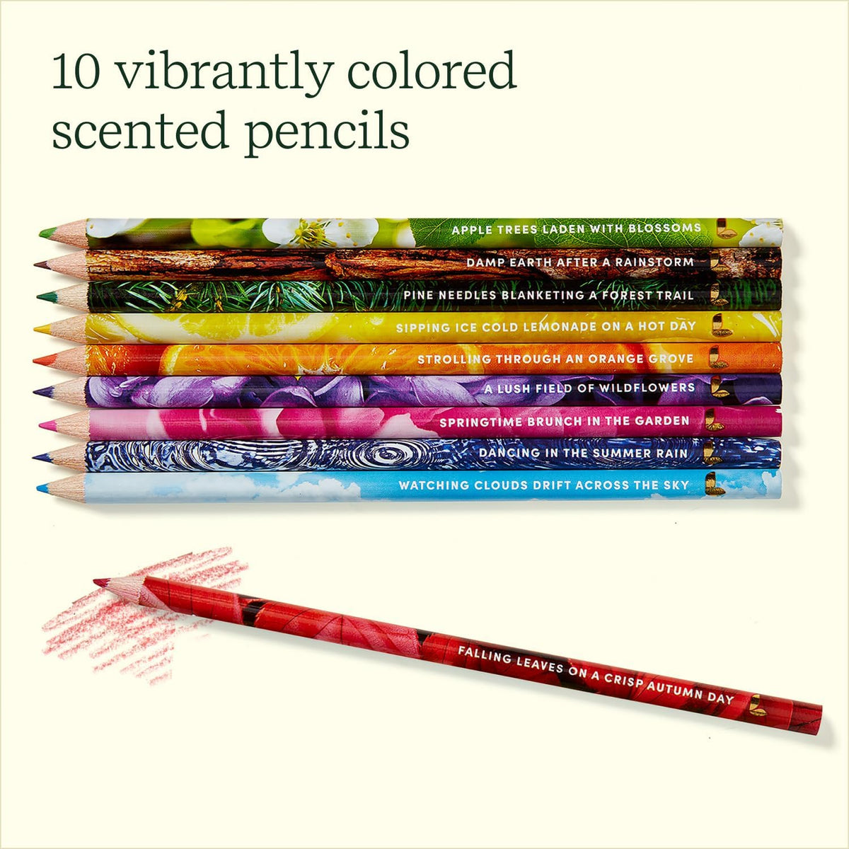 COLORED  PENCILS: RUB & SNIFF SCENTED